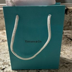 Tiffany & Co. Gift Bag